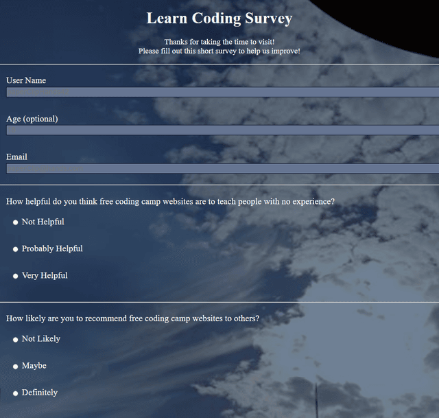 Developer Survey Platform project image
