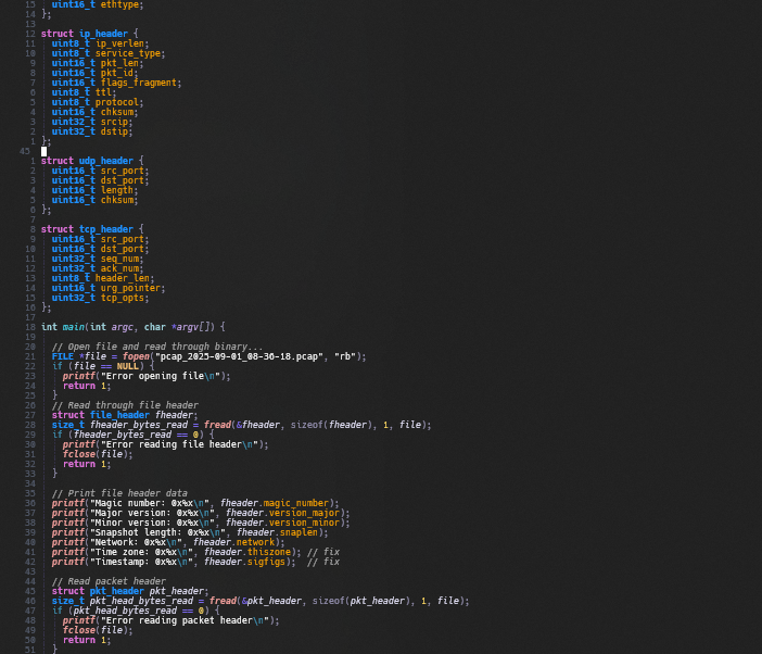 screenshot of C code